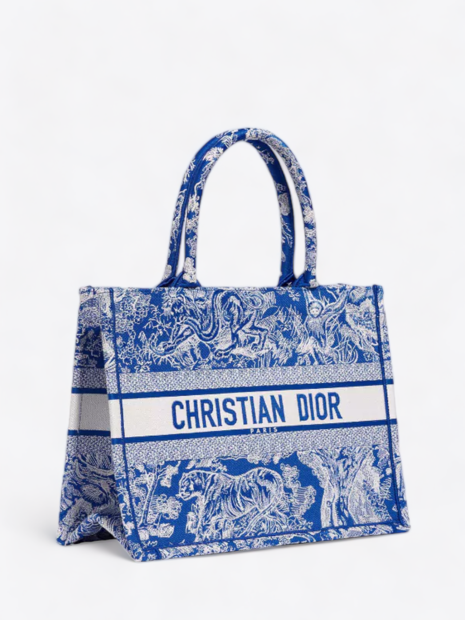 Tasche Mieten Dior Book Tote Blau