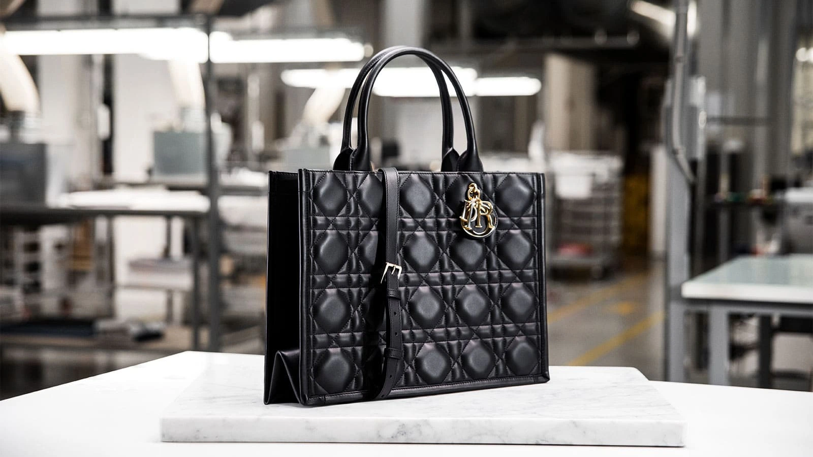 welpop Decouvrez Le Sac Dior Book Tote Macrocannage 1