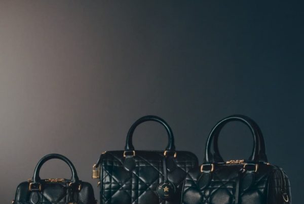 WELPOP LE SAC GROOVE DIOR UNE NOUVELLE ICONE PARISIENNE 7