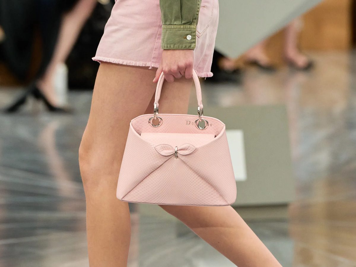 Dior Spring 2026 Runway Bag Top Handle 1